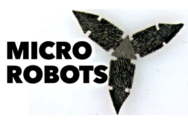 Micro Robots, Robotik